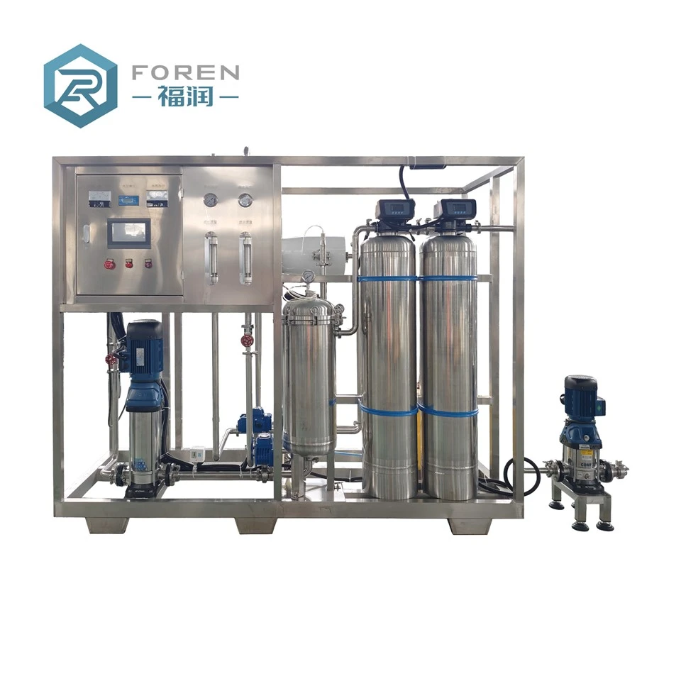 1000 LPH RO System